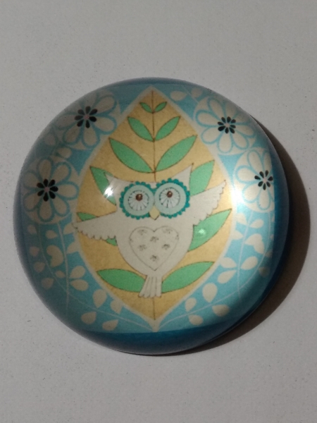 Paperweight - motif owl light blue