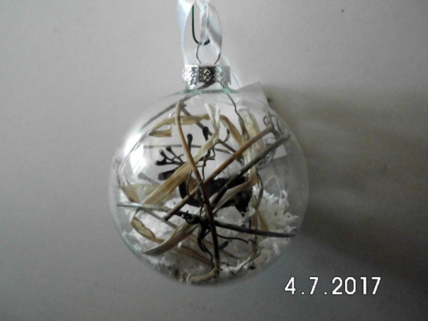 Bauble moose